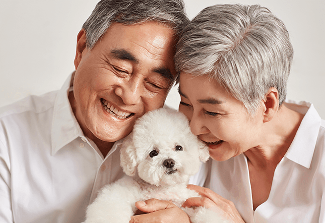 공진단 정성을 담다 이미지1